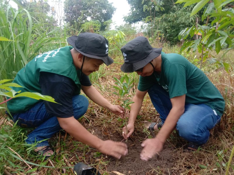 Gambar Monitoring