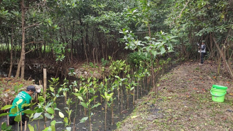 Gambar Monitoring