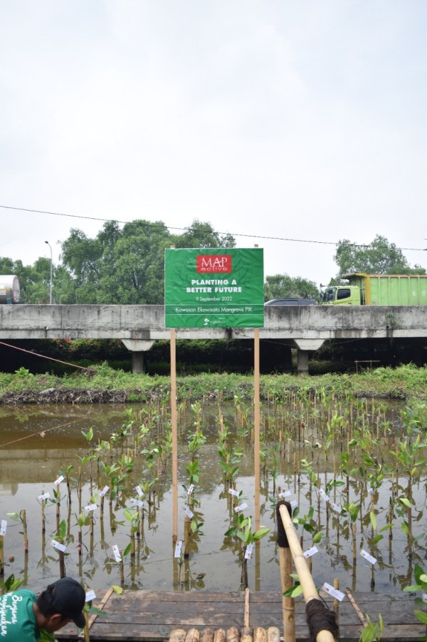 Gambar Monitoring
