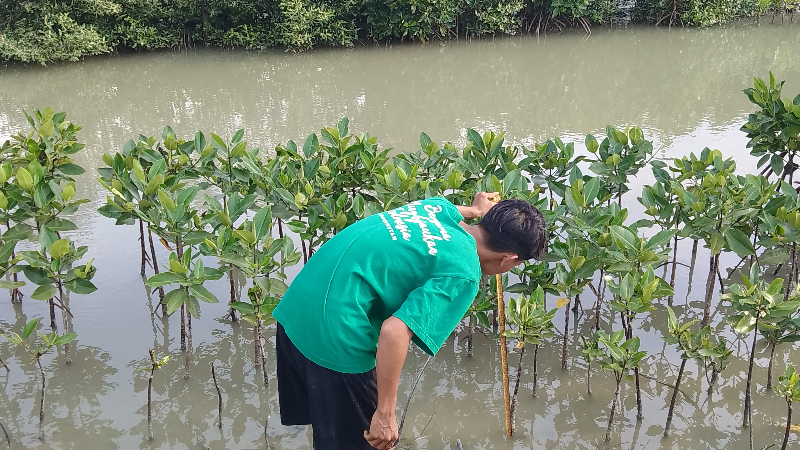 Gambar Monitoring