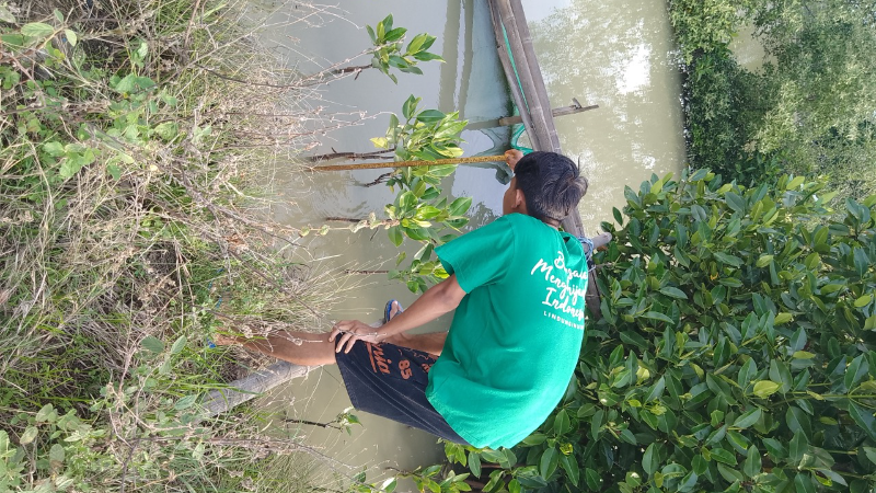 Gambar Monitoring