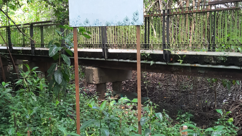 Gambar Monitoring