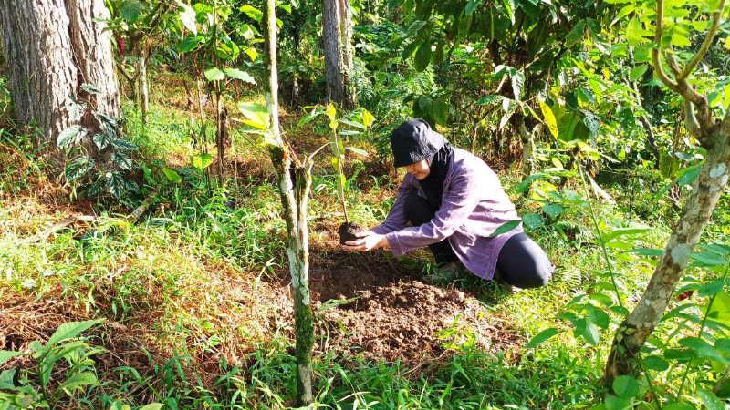 Gambar Monitoring