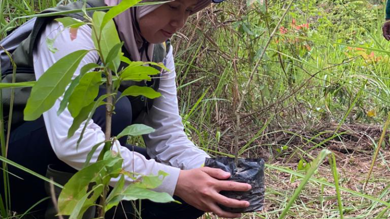Gambar Monitoring