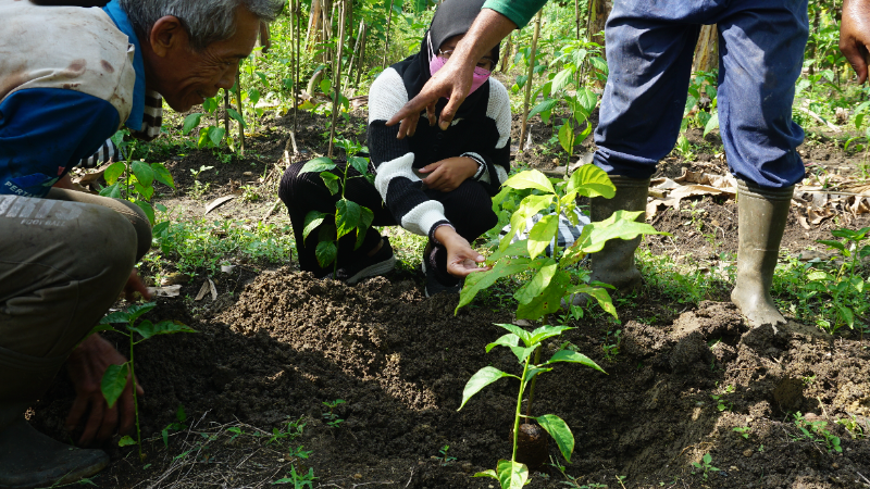 Gambar Monitoring