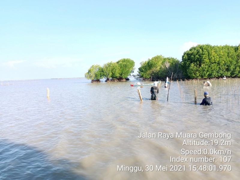 Gambar Monitoring