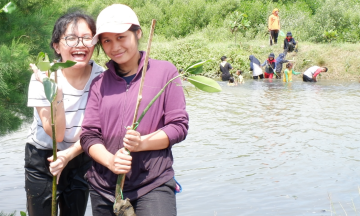 Gambar Monitoring