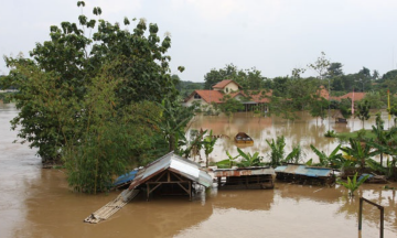 Gambar Monitoring