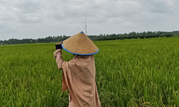 Gambar Monitoring