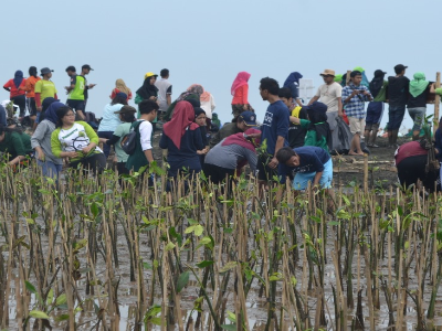 Gambar Monitoring