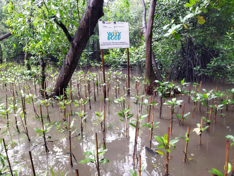 Gambar Monitoring
