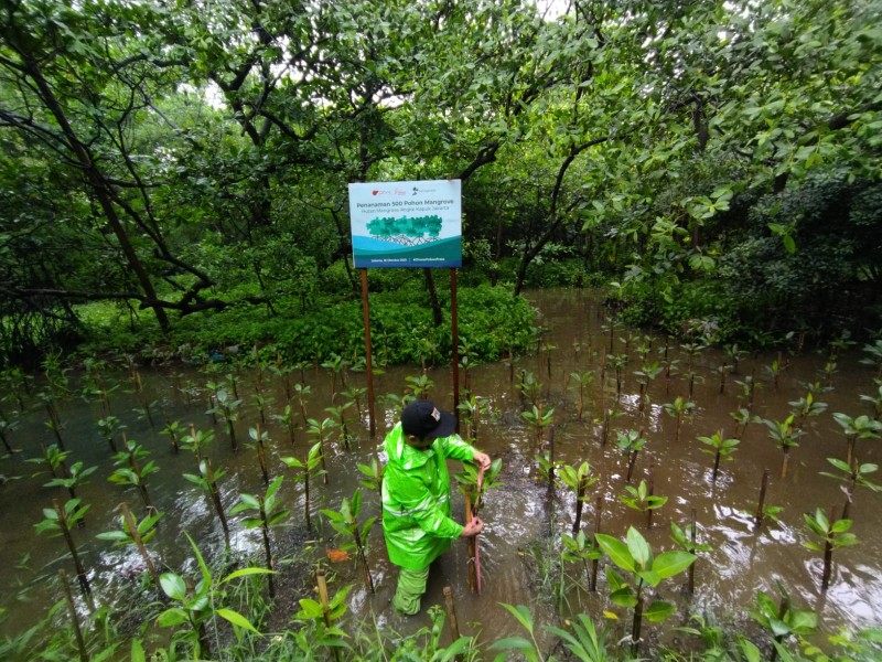 Gambar Monitoring