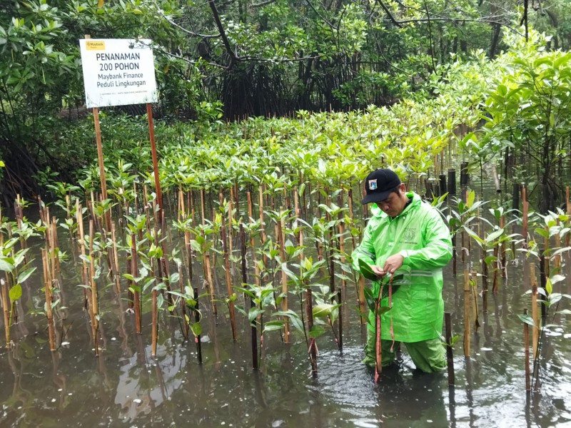 Gambar Monitoring