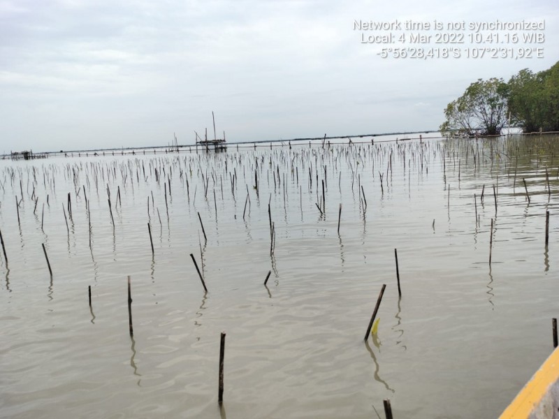 Gambar Monitoring