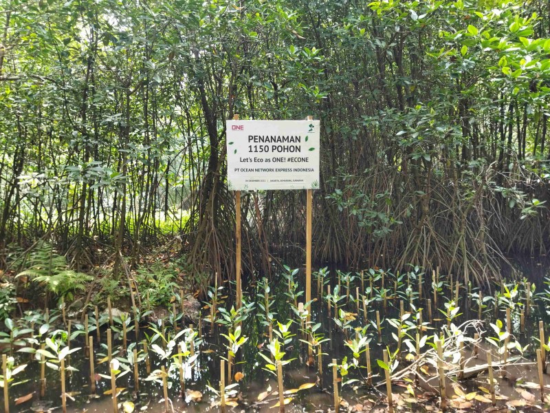 Gambar Monitoring