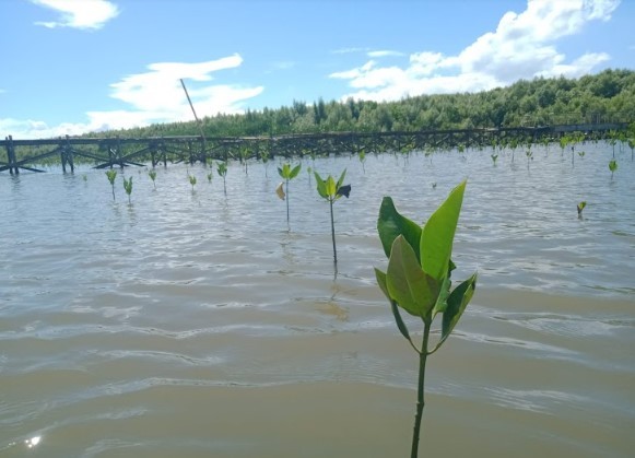 Gambar Monitoring