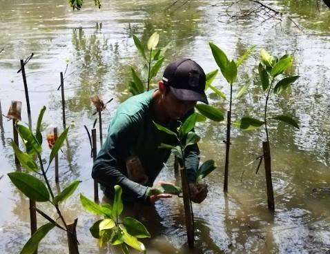 Gambar Monitoring