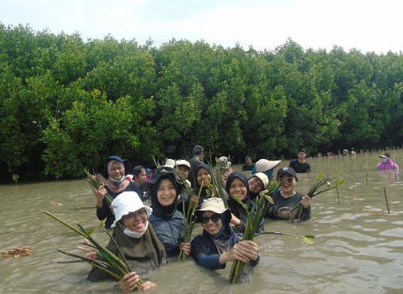 Gambar Monitoring