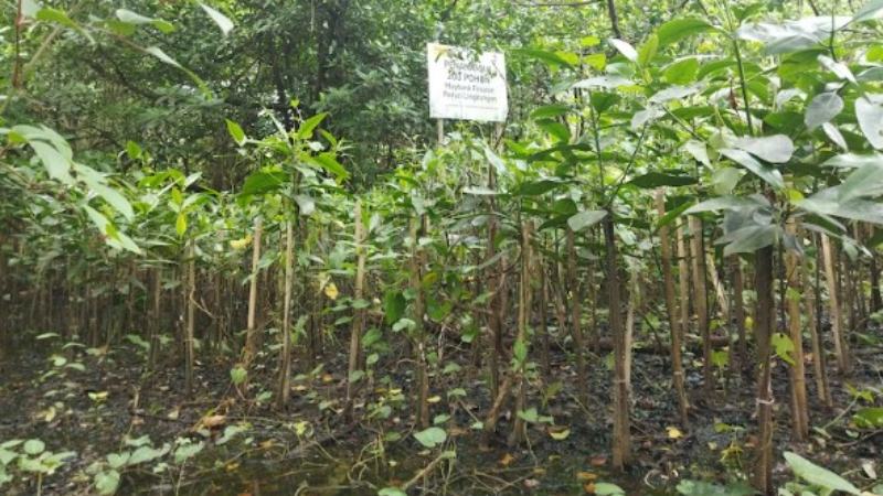 Gambar Monitoring