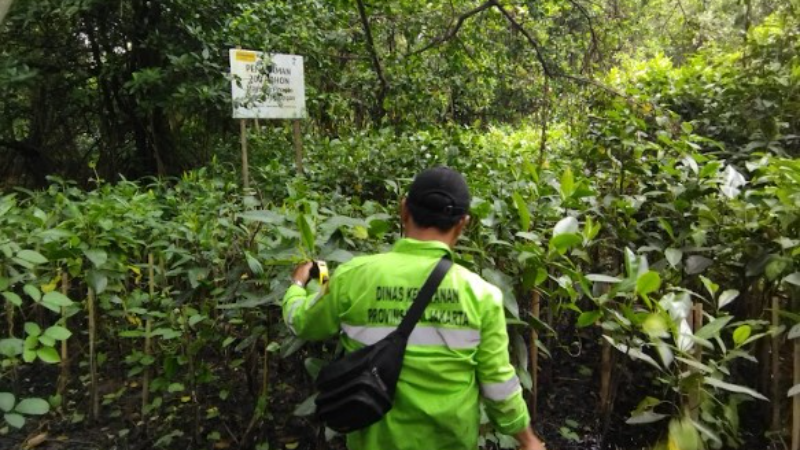 Gambar Monitoring