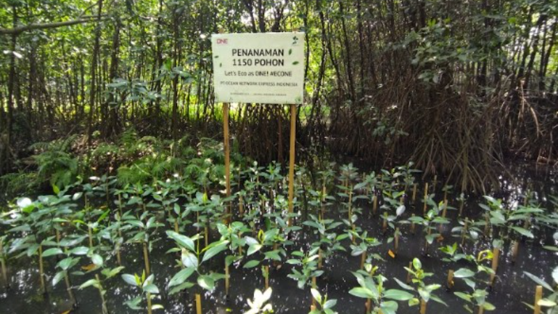 Gambar Monitoring