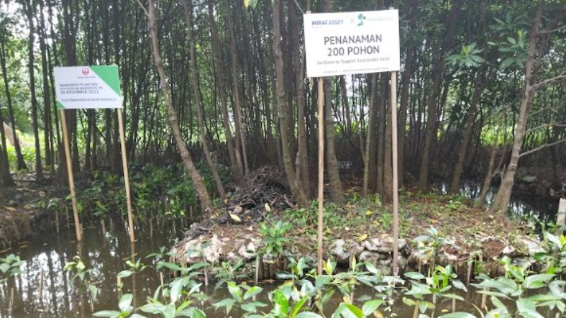 Gambar Monitoring