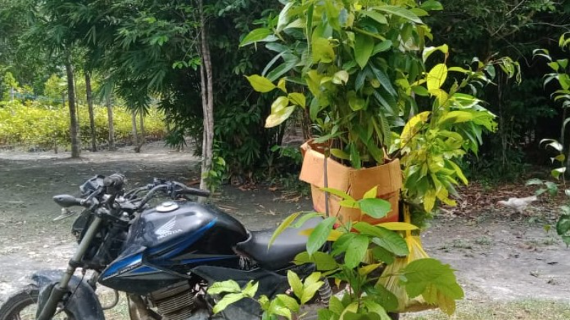 Gambar Monitoring