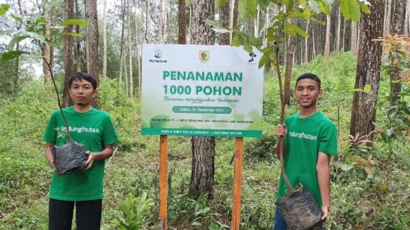 Gambar Monitoring