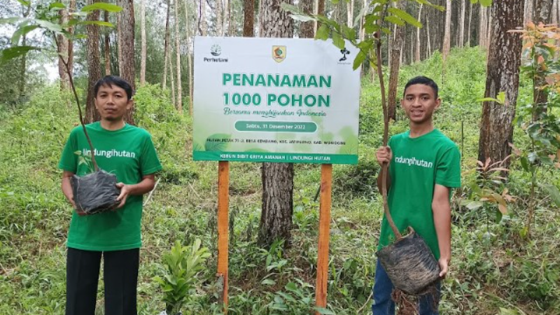 Gambar Monitoring