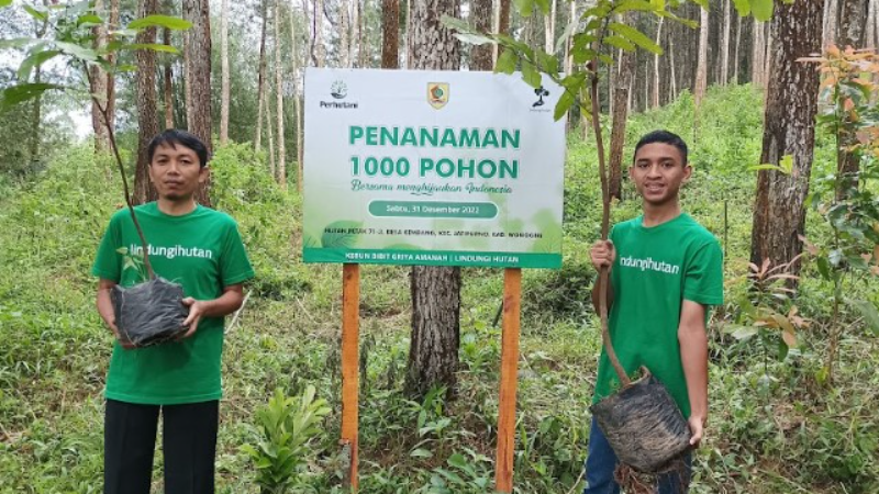 Gambar Monitoring