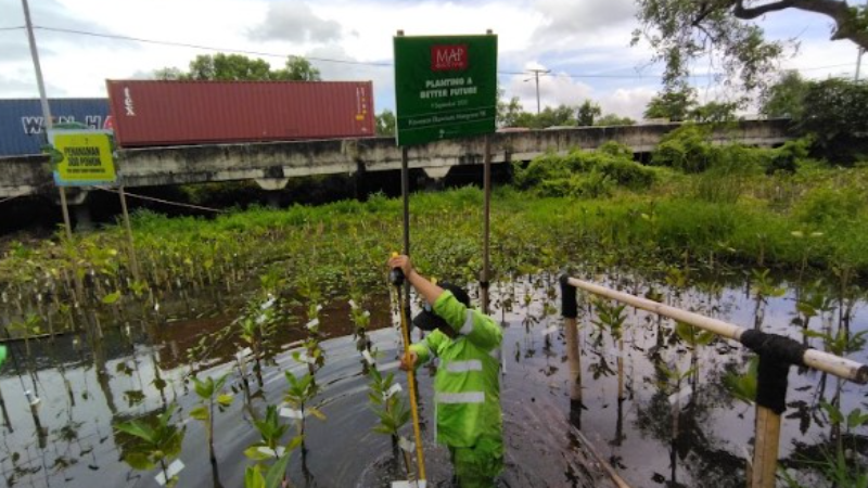 Gambar Monitoring