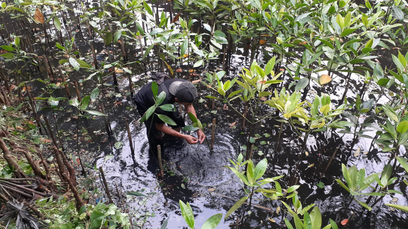 Gambar Monitoring