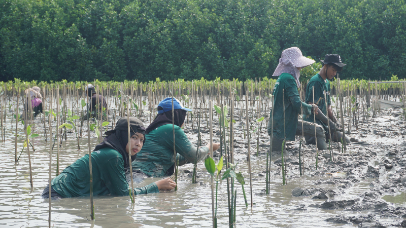 Gambar Monitoring