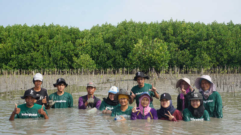 Gambar Monitoring
