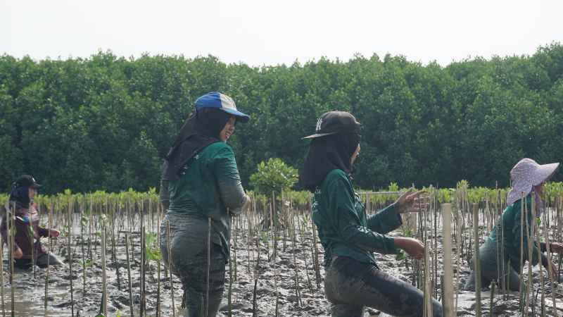 Gambar Monitoring