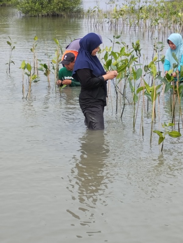Gambar Monitoring