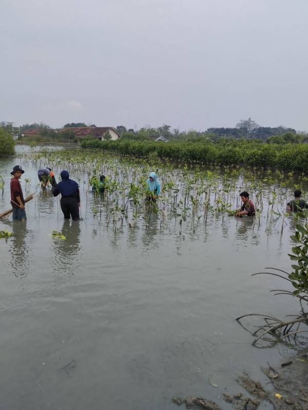 Gambar Monitoring