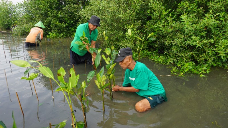 Gambar Monitoring