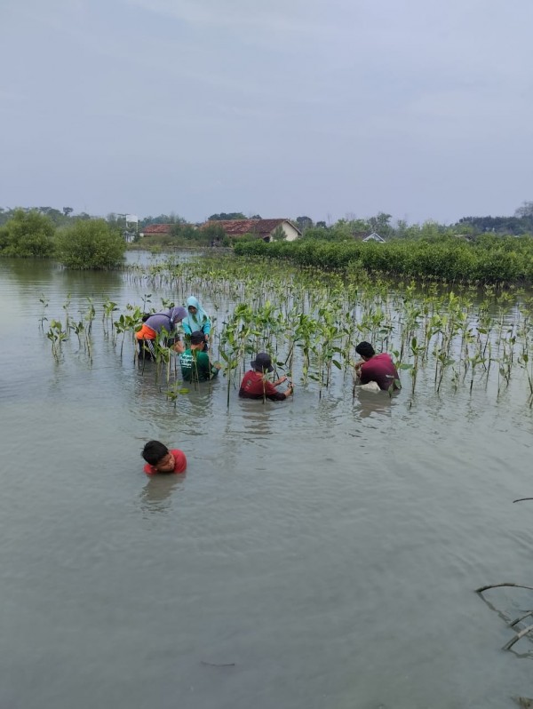 Gambar Monitoring