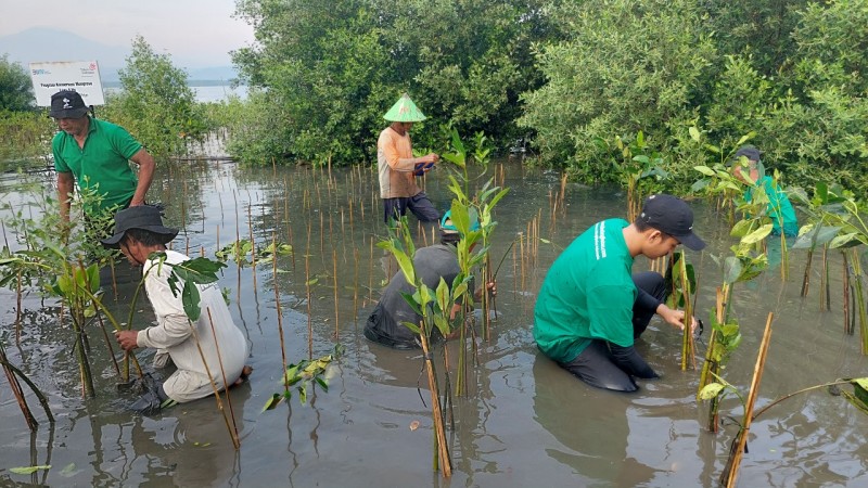 Gambar Monitoring