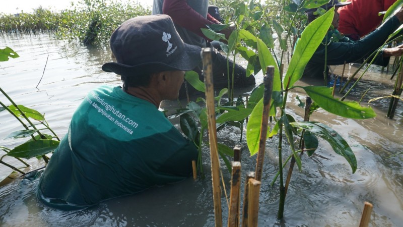 Gambar Monitoring