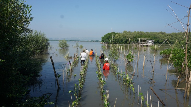 Gambar Monitoring