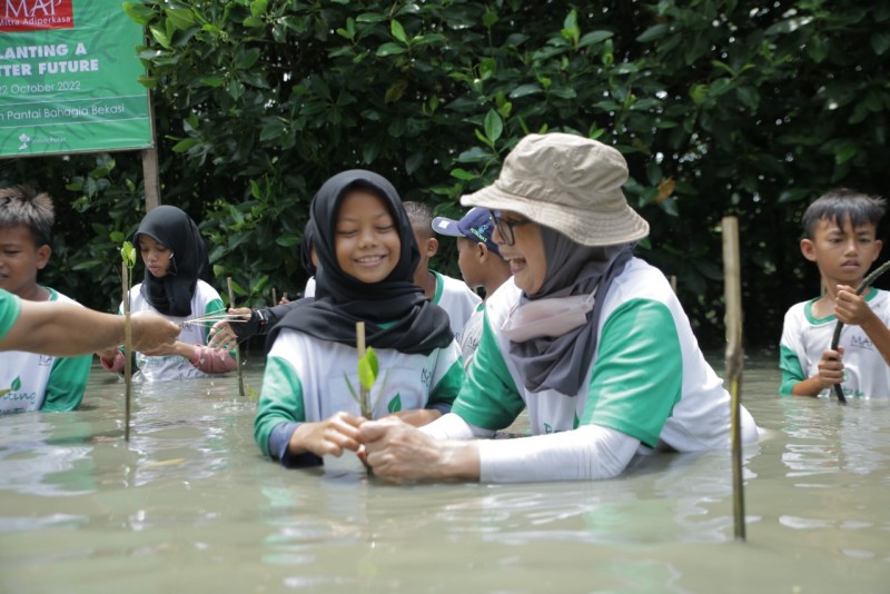 Gambar Monitoring