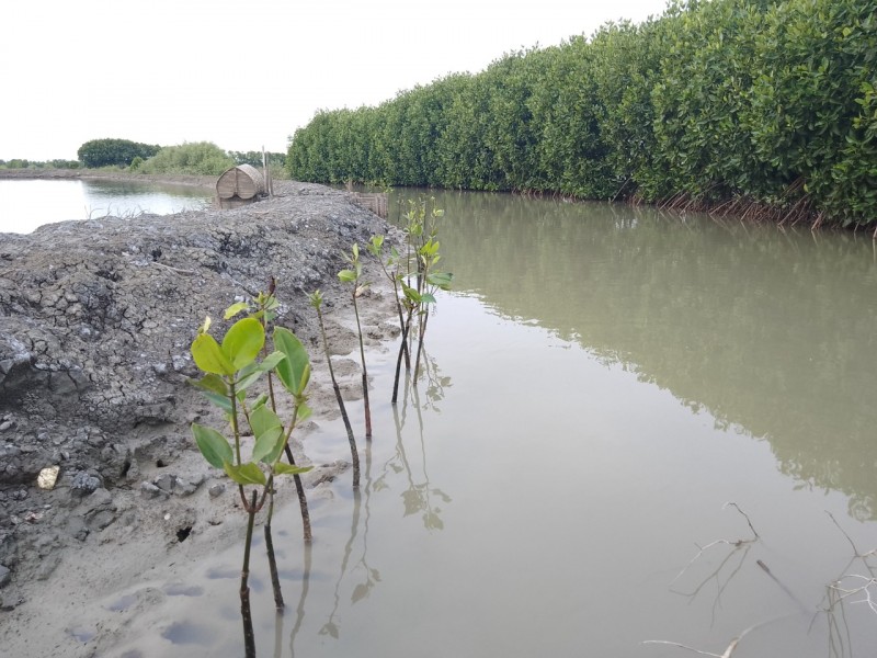 Gambar Monitoring