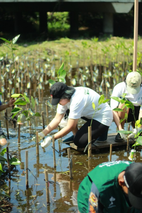 Gambar Monitoring
