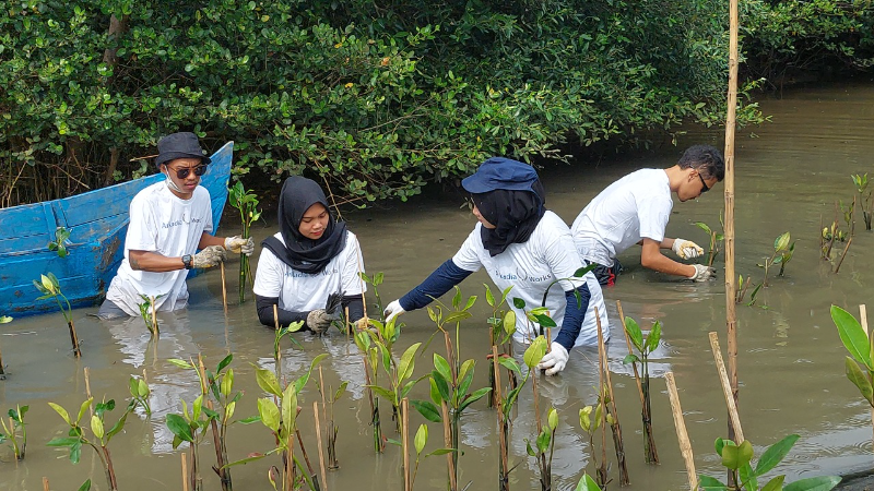 Gambar Monitoring