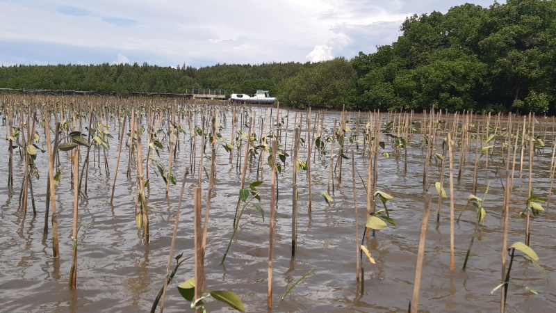 Gambar Monitoring