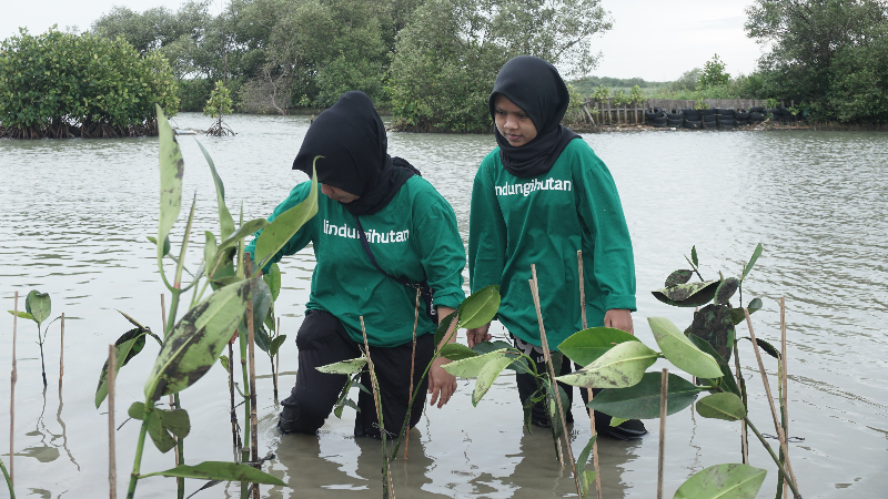 Gambar Monitoring