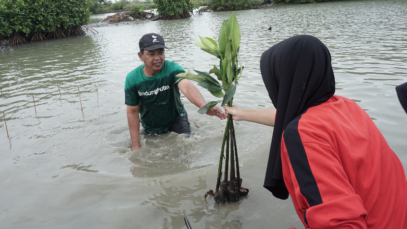 Gambar Monitoring