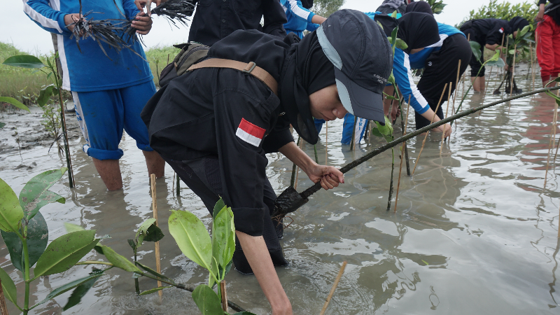 Gambar Monitoring